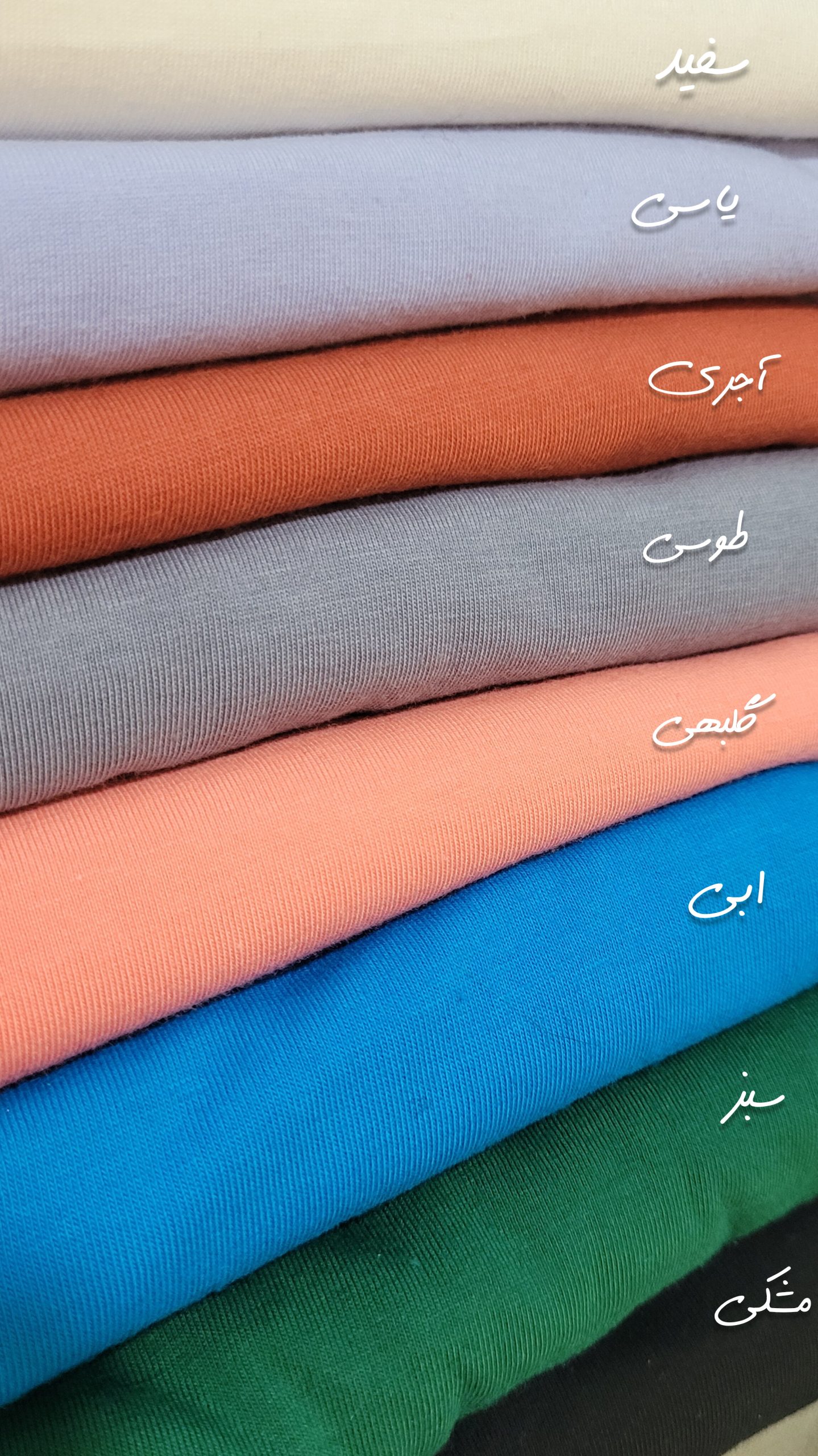 InShot_۲۰۲۵۰۹۰۶_۱۲۳۱۳۱۹۷۲-scaled-1.jpg